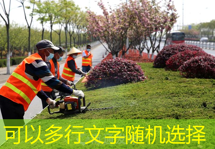 江南·体育官方网站登录，演绎童话世界！六个国内知名度极高的户外儿童滑梯造型带来惊喜