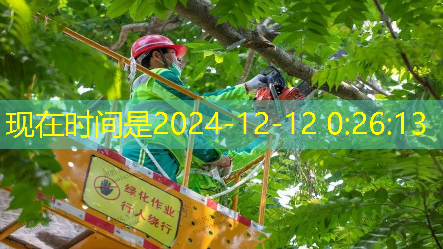 网球拍把柄长度都是固定的吗_