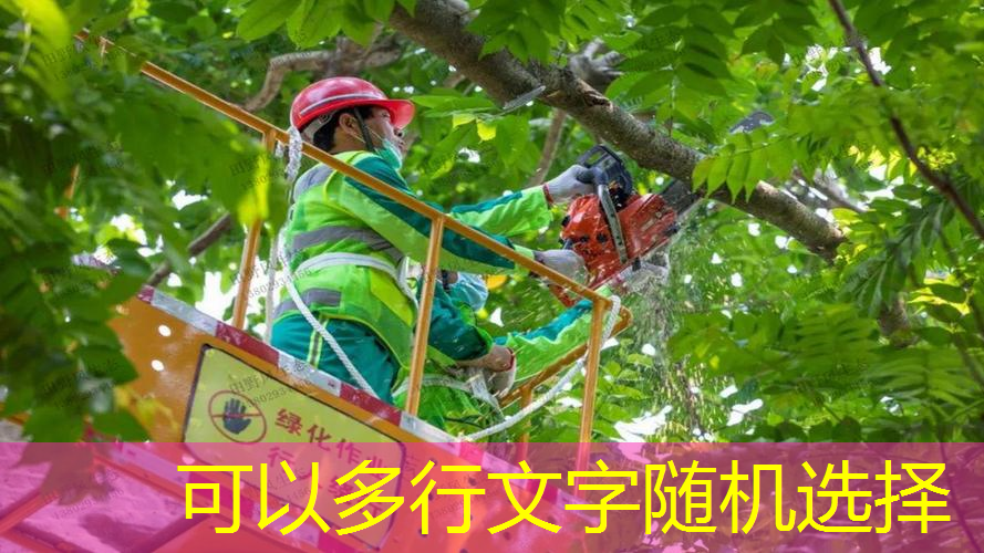 网球拍放不放减震器套