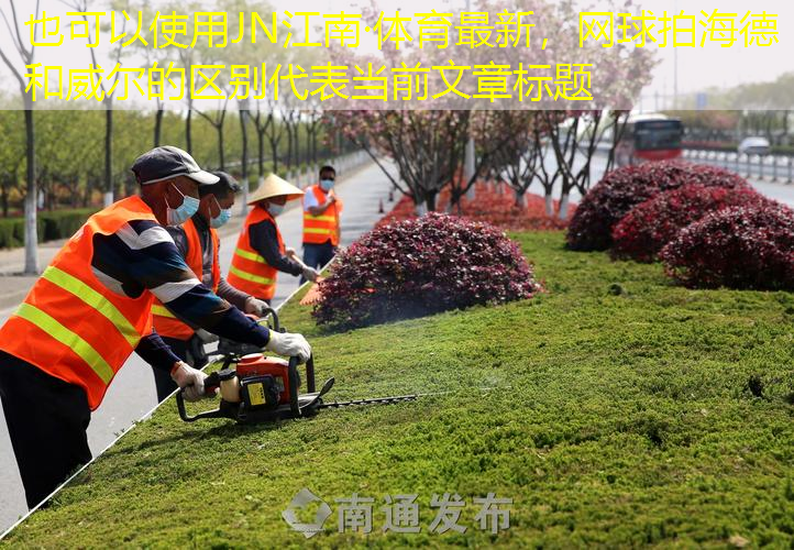 JN江南·体育最新，网球拍海德和威尔的区别