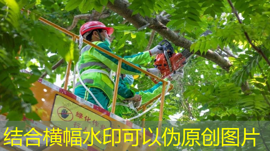 JN江南·体育，宝宝室内健身玩具杭州聚力体育