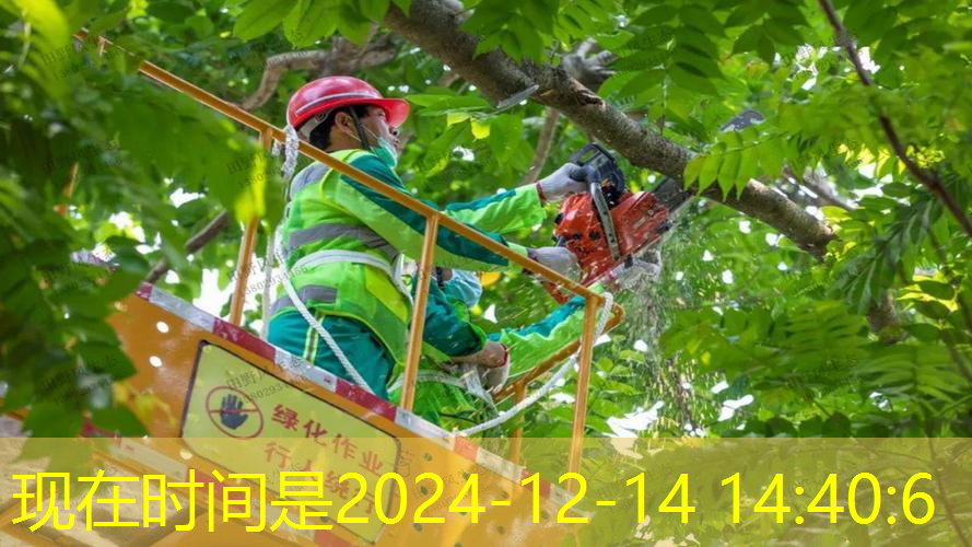 江南·体育官方网站登录，便宜点乒乓球台推荐黑白直播 体育