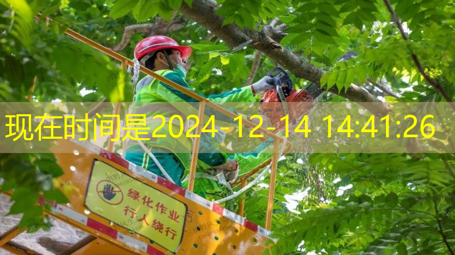 江南俱乐部，幼儿园小班体育教案《拍篮球》