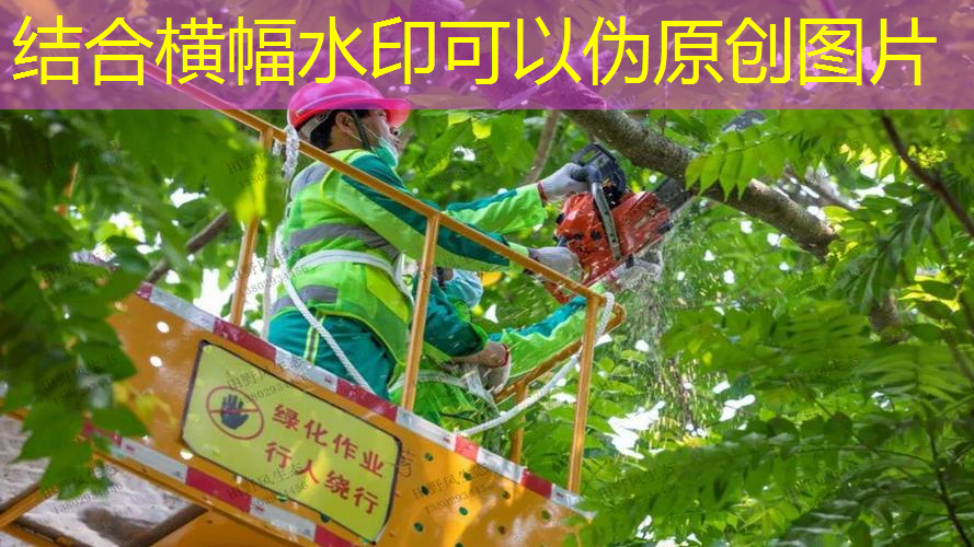 jn江南·体育登录入口，威尔逊网球拍自动测速