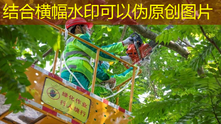 jn江南公司，百宝力网球拍哪制造