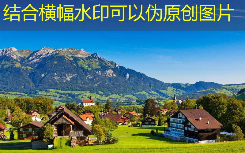jn江南官方体育，白宝莉网球拍价格表