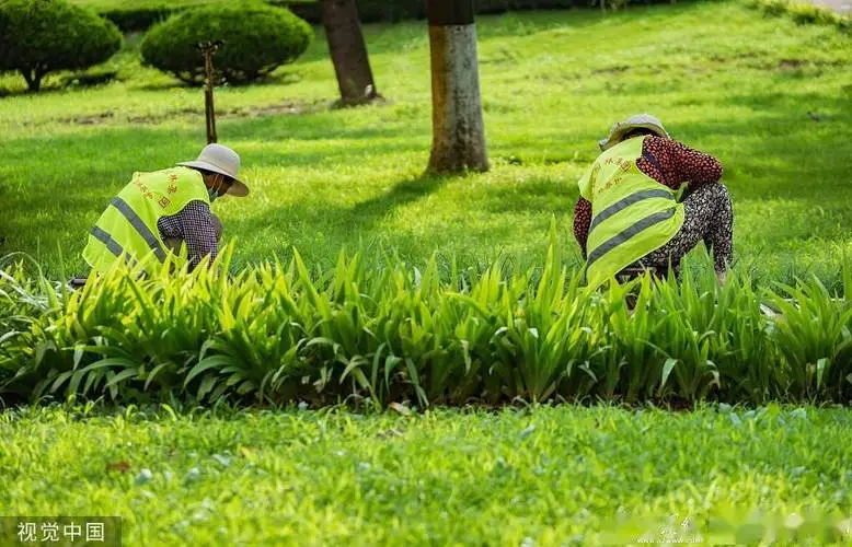 jn江南·体育登录入口，可变乒乓球台的桌子