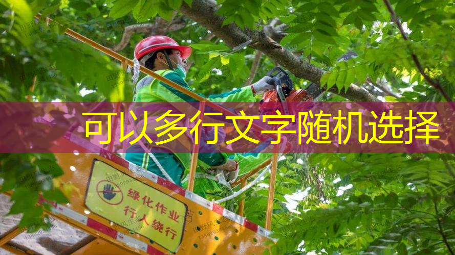 网球拍横线和数线的磅数