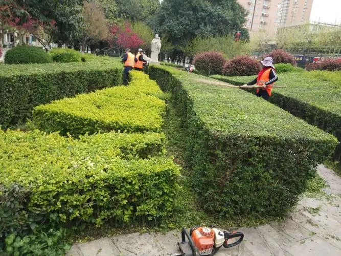 网球拍的拍面大小的作用
