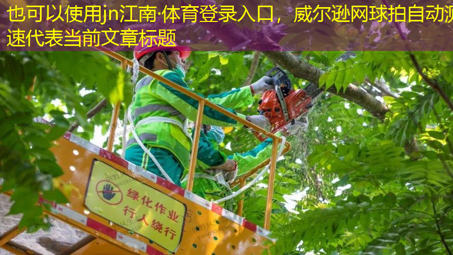 威尔逊网球拍自动测速