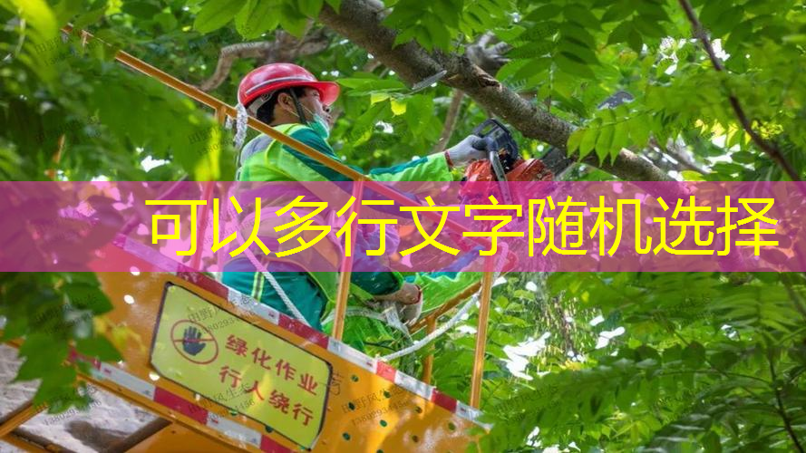 儿童网球拍多久换新拍头