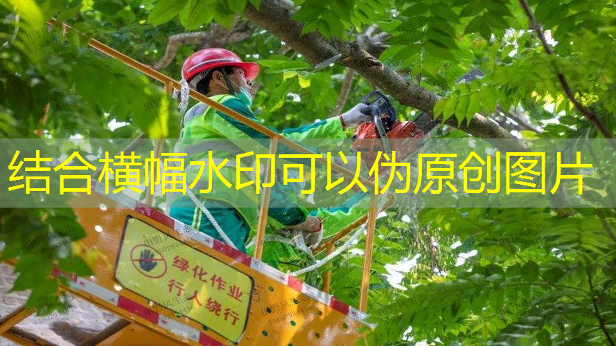 网球拍有点松了怎么办