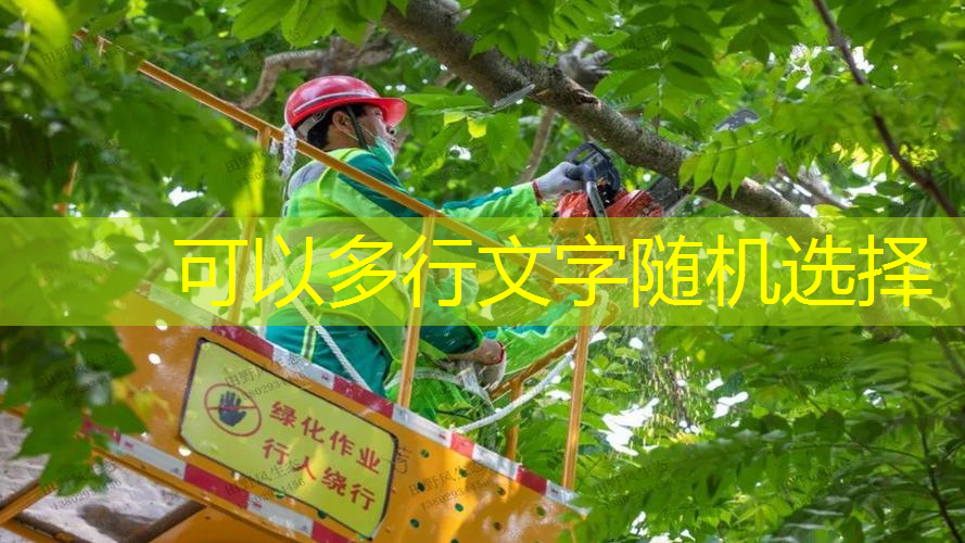 网球拍哪种线好用便宜点