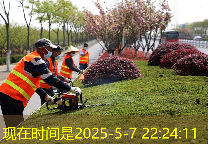 网球拍哪种线好用便宜点