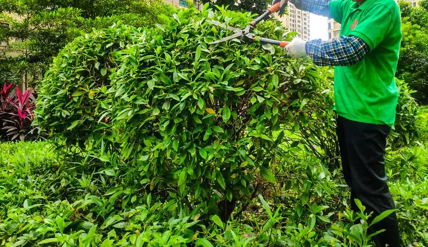麻花手柄网球拍怎么用的
